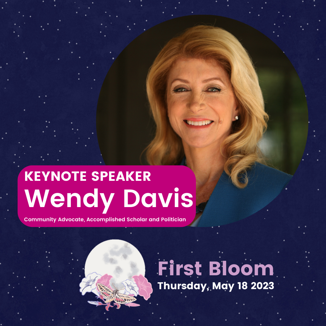 A blue starry night sky with a picture of Wendy Davis. There is a pink box with white text.