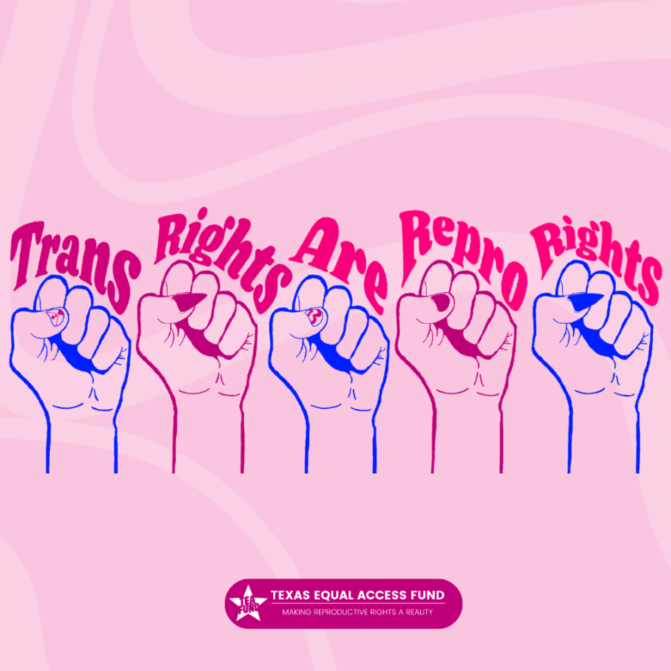 a pink square that says Trans Rights Are Repro Rights. There are a series of pink and blue fists under the title.